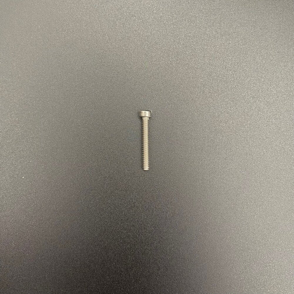 Replacement 7/8" Stainless Screw