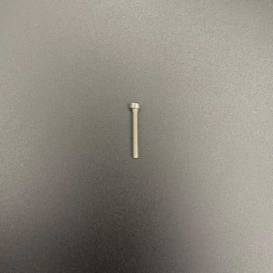Replacement 7/8" Stainless Screw