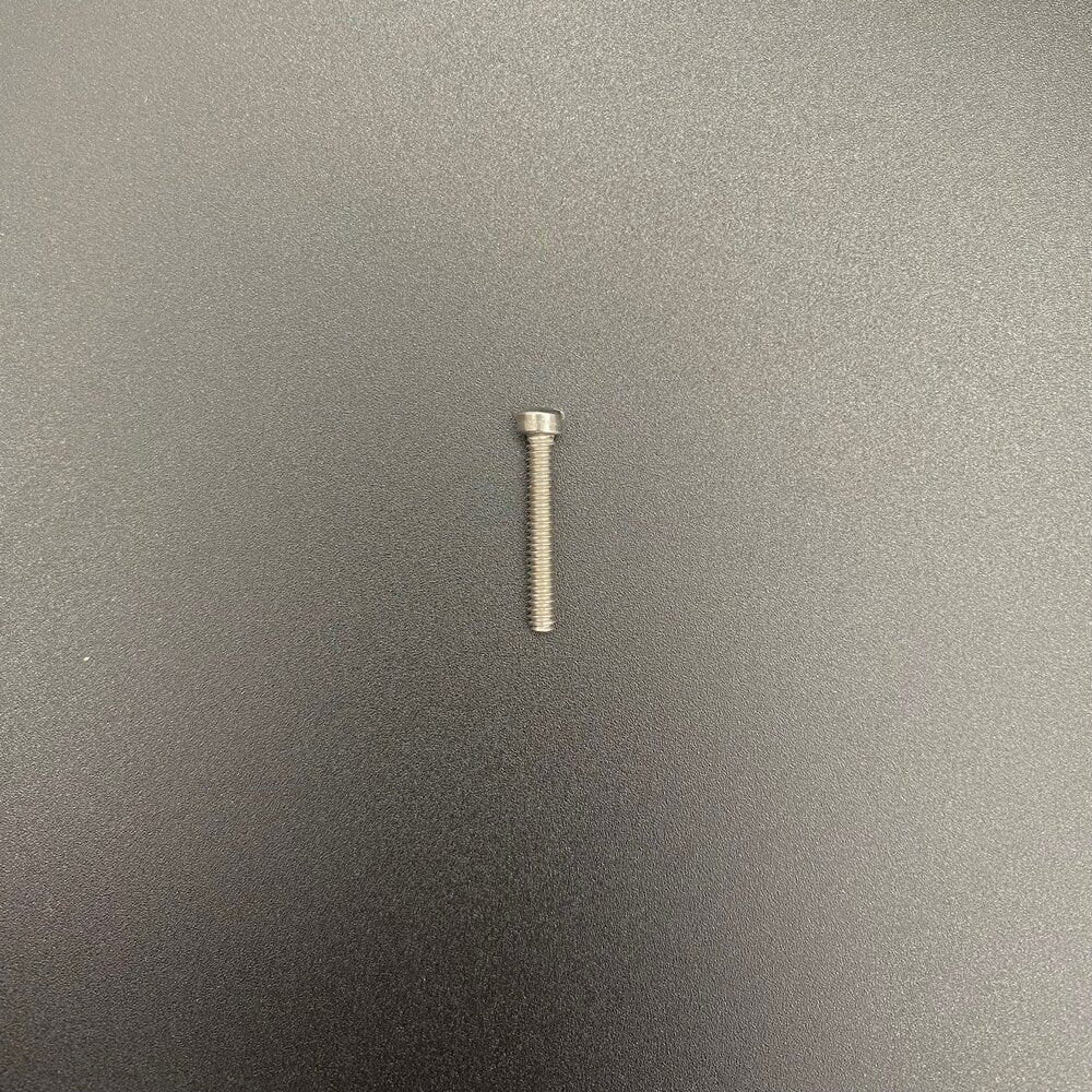 Replacement 7/8" Stainless Screw